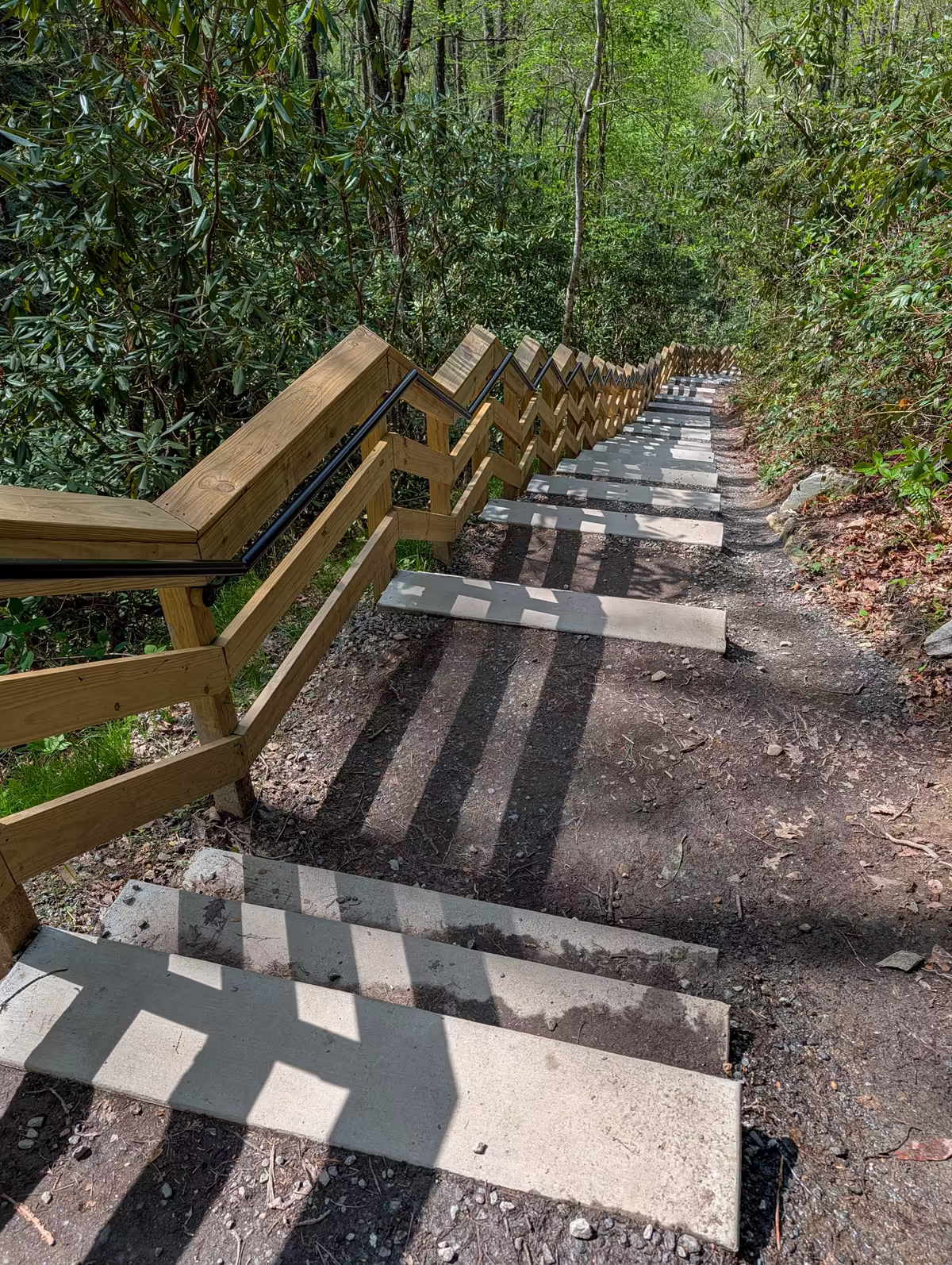 163 Stairs At Mingo Falls A long, steep wooden staircase with railings winding down through a lush green forest, leading visitors toward the Mingo Falls area.