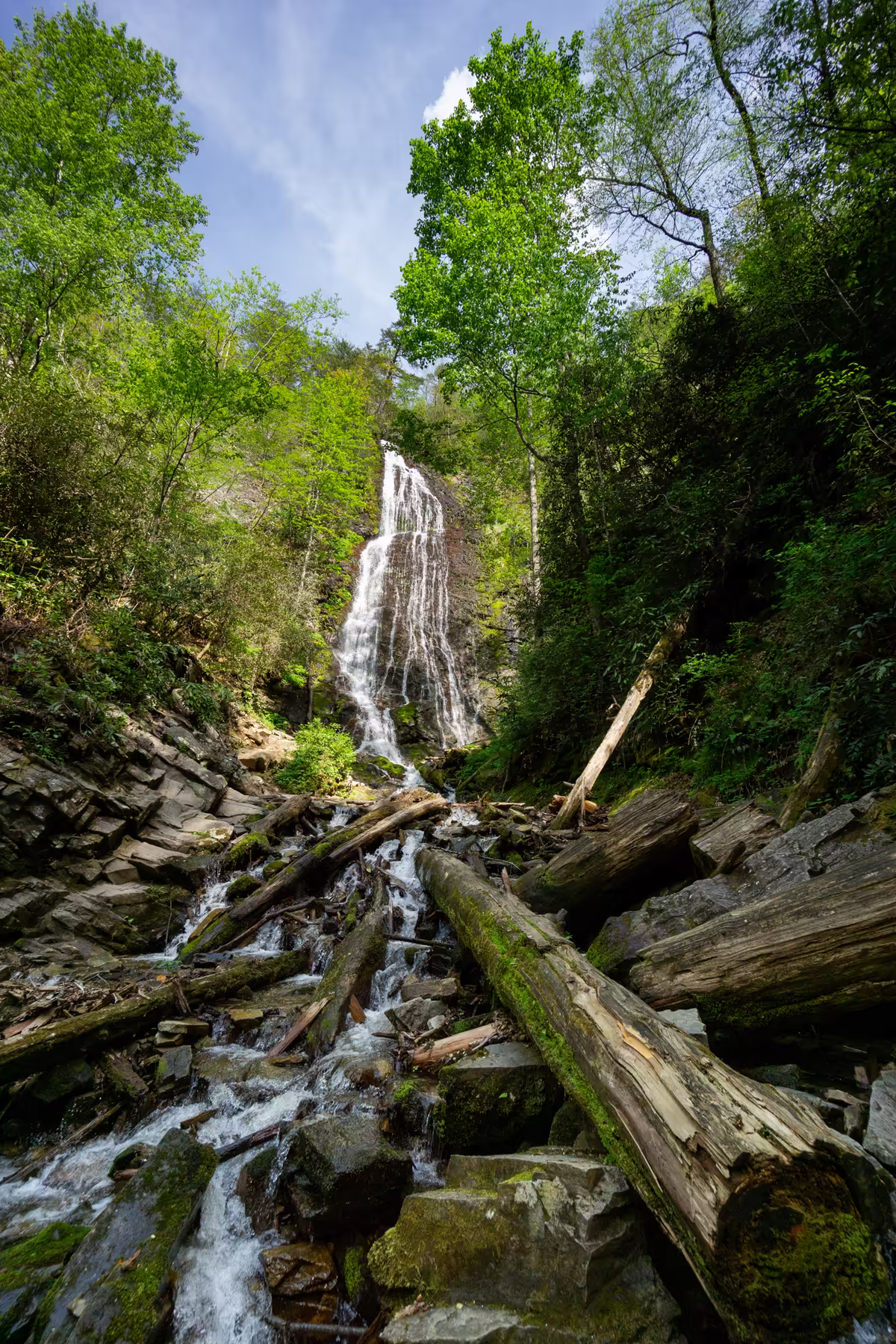 Mingo Falls Cherokee NC Mingo Falls With Dogs: 163 Steps to a Waterfall in Cherokee, NC Near the Smoky Mountains