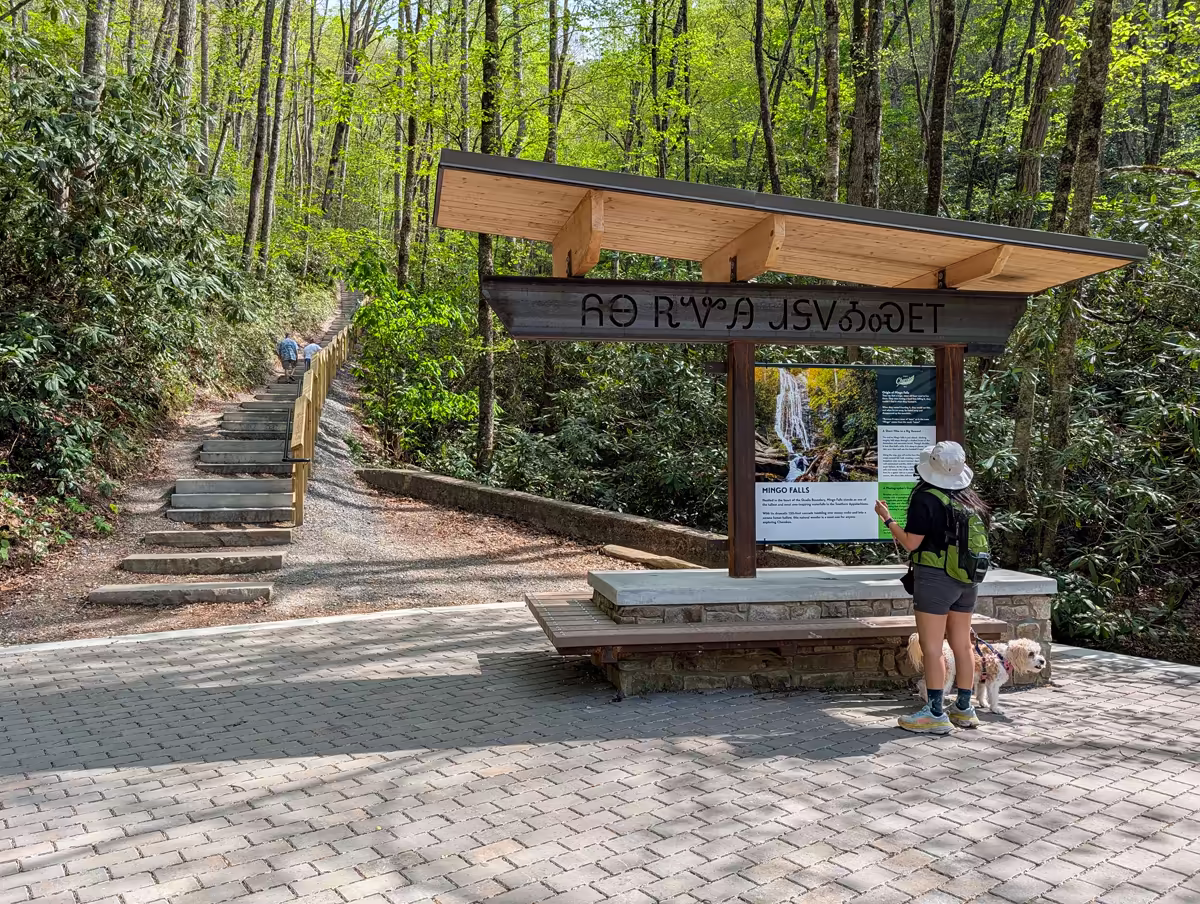 Mingo Falls Trail A woman with a backpack and a small dog standing at the trailhead kiosk reading the Mingo Falls information display, with the long wooden staircase visible in the background.