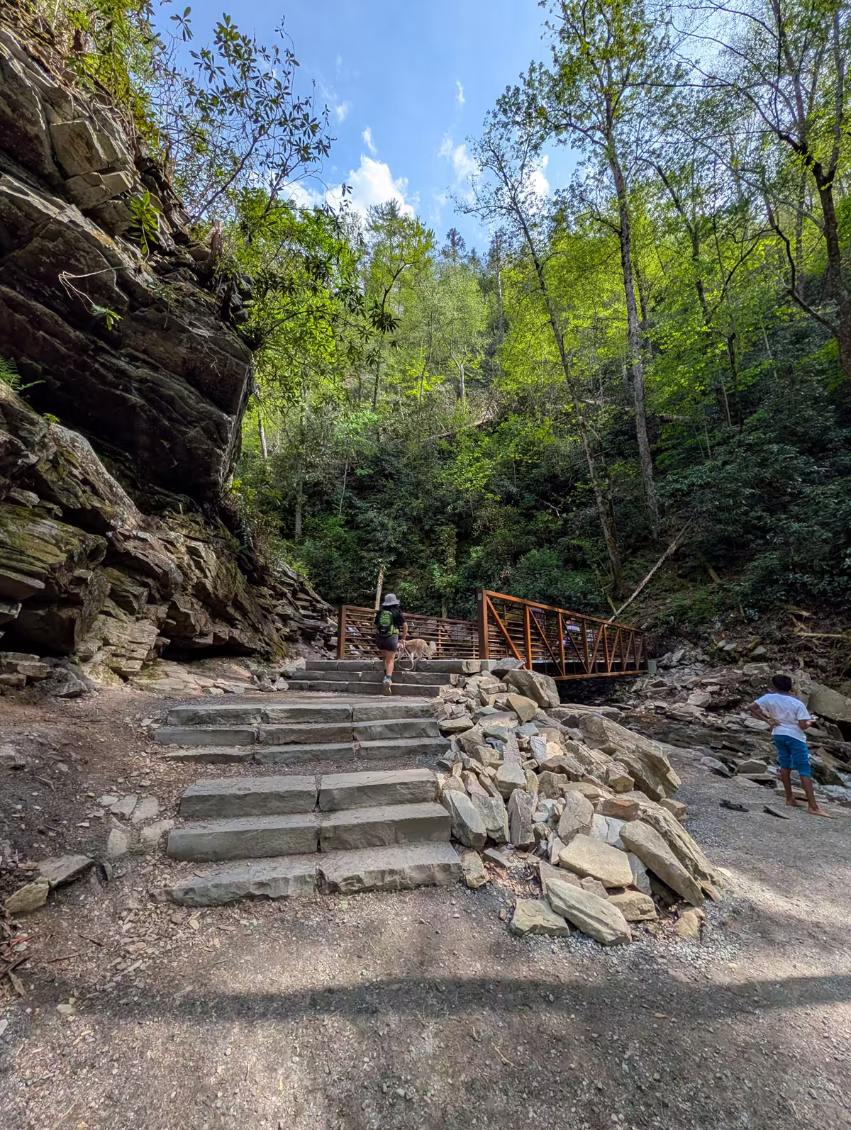 Mingo Falls Viewing Platform A view from the base of the trail where a stone staircase leads up to a metal bridge viewing platform, with a person and their dog walking towards it and another person standing by the stream.